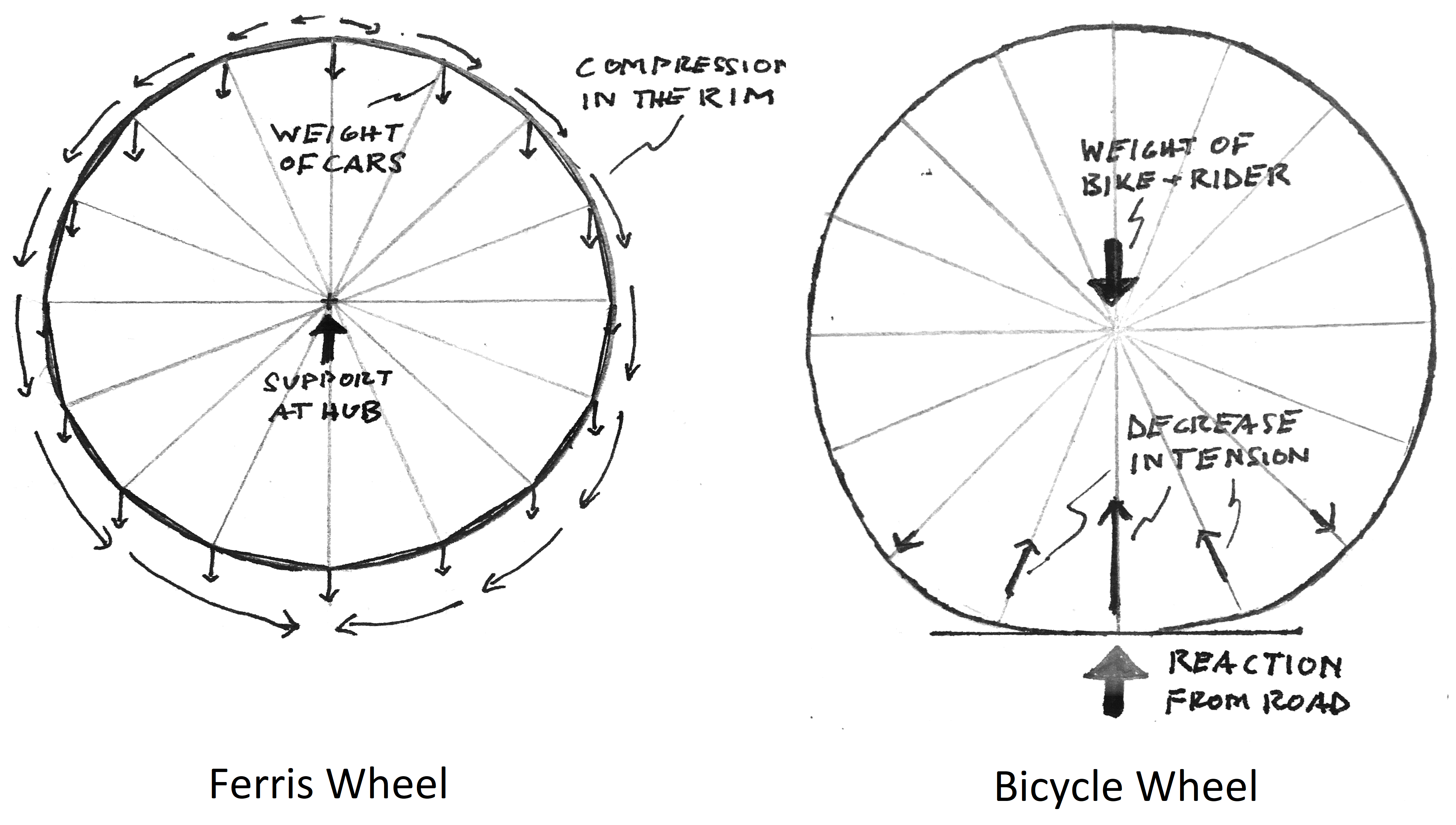 Ferris Wheel force diagram